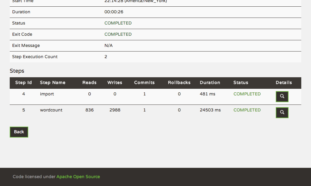 Job Execution Details - Steps